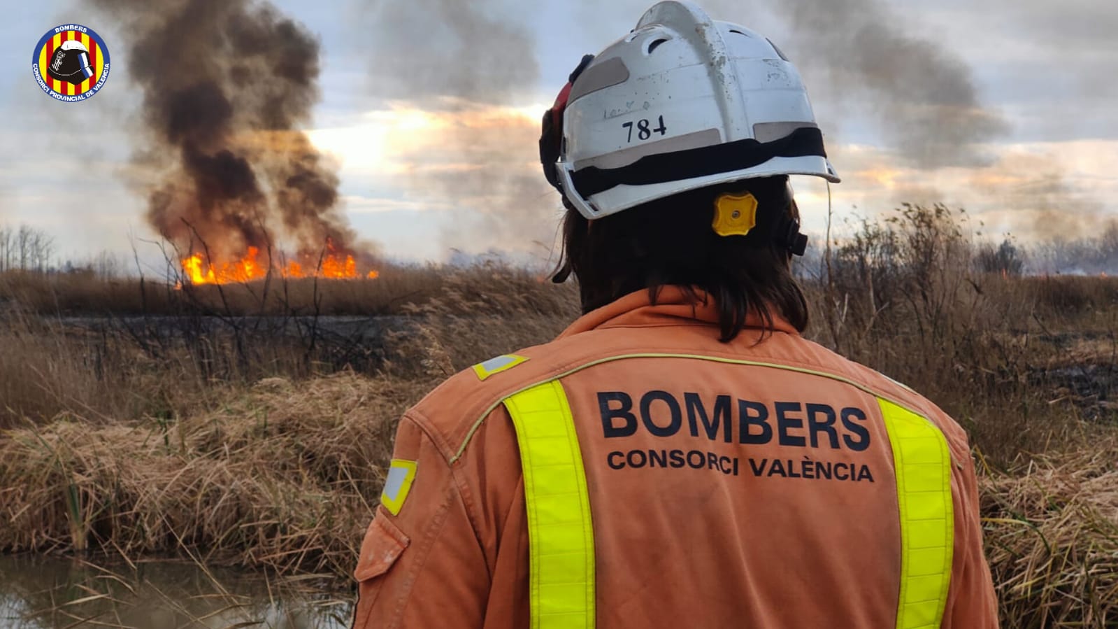 Galería gráfica de Incendio en la Marjal dels Moros