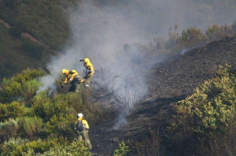 Miembros de un retÃ©n trabajan en las labores de extinciÃ³n de un incendio forestal, en una imagen de archivo. EFE/Ana F. Barredo

