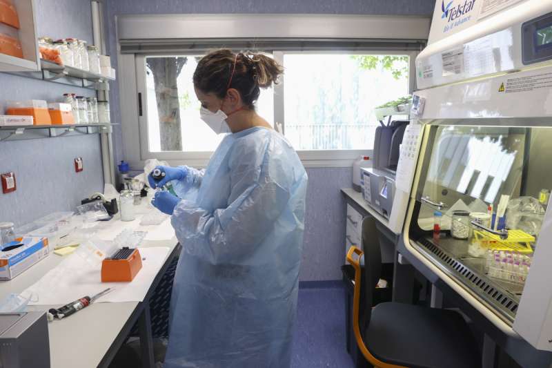 Investigadores del Instituto de Salud Carlos III han conseguido el primer borrador de la secuencia completa del virus causante de la viruela del mono (Monkey Pox). EFE