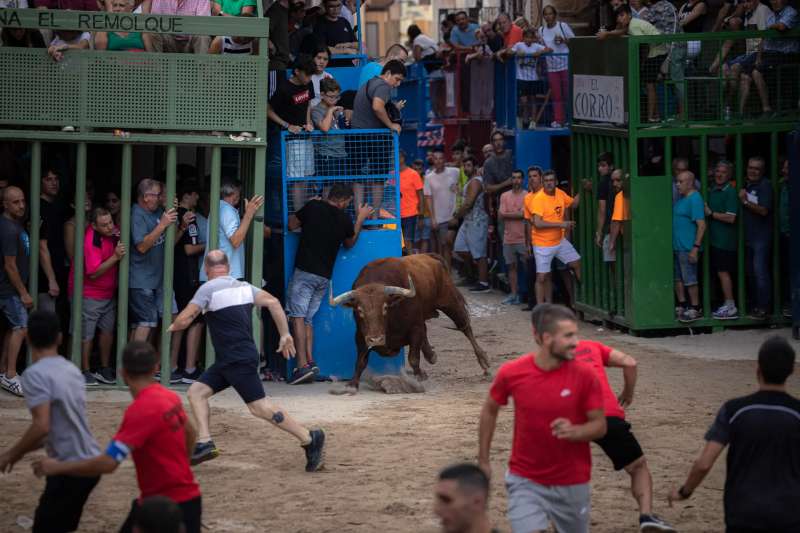 En la imagen, de archivo, una fiesta de bous al carrer. EFE/Biel Aliño
