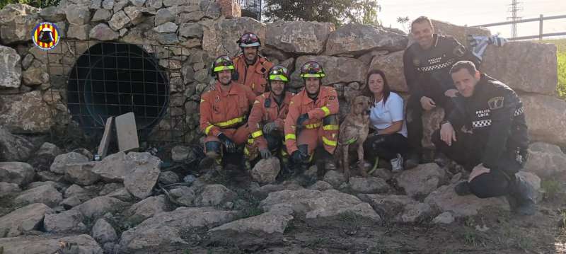 Imagen del equipo que ha rescatado al animal. /EPDA